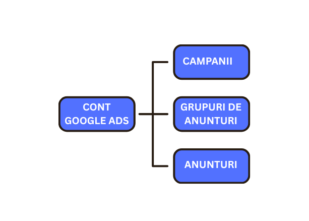 structura cont