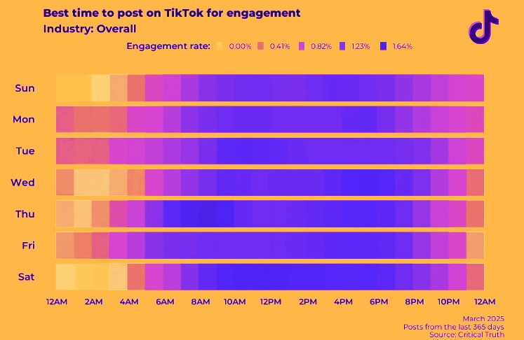 tiktok analytics